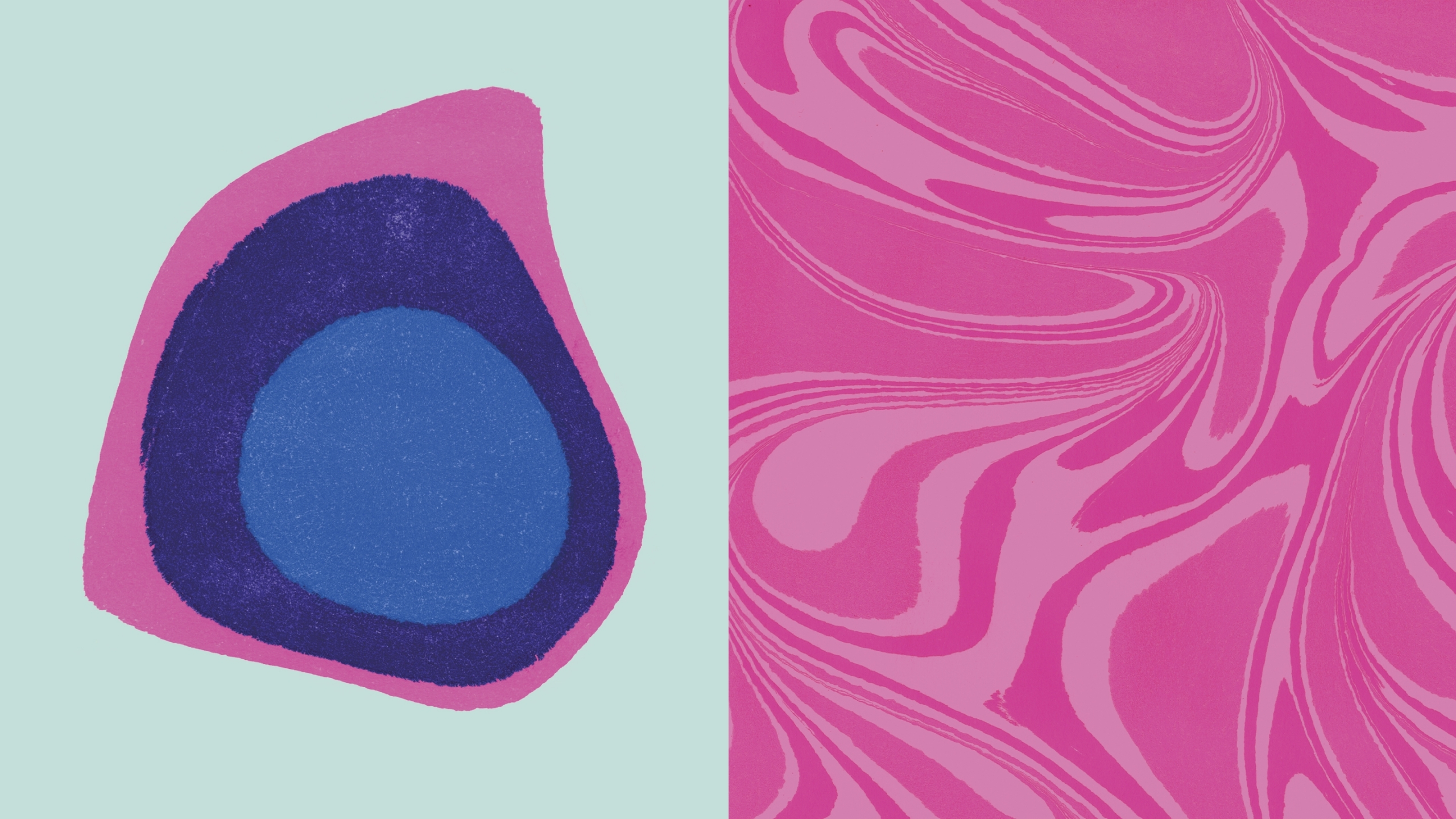 HS Contour Coffee Assets 2880x1620 300dpi Mabelling 03 v1